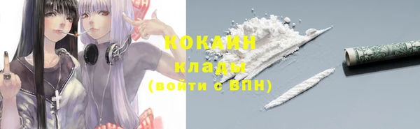 мет Осинники