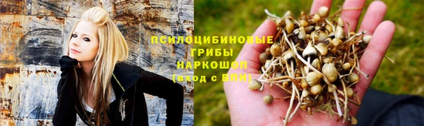 гидропоника Осташков